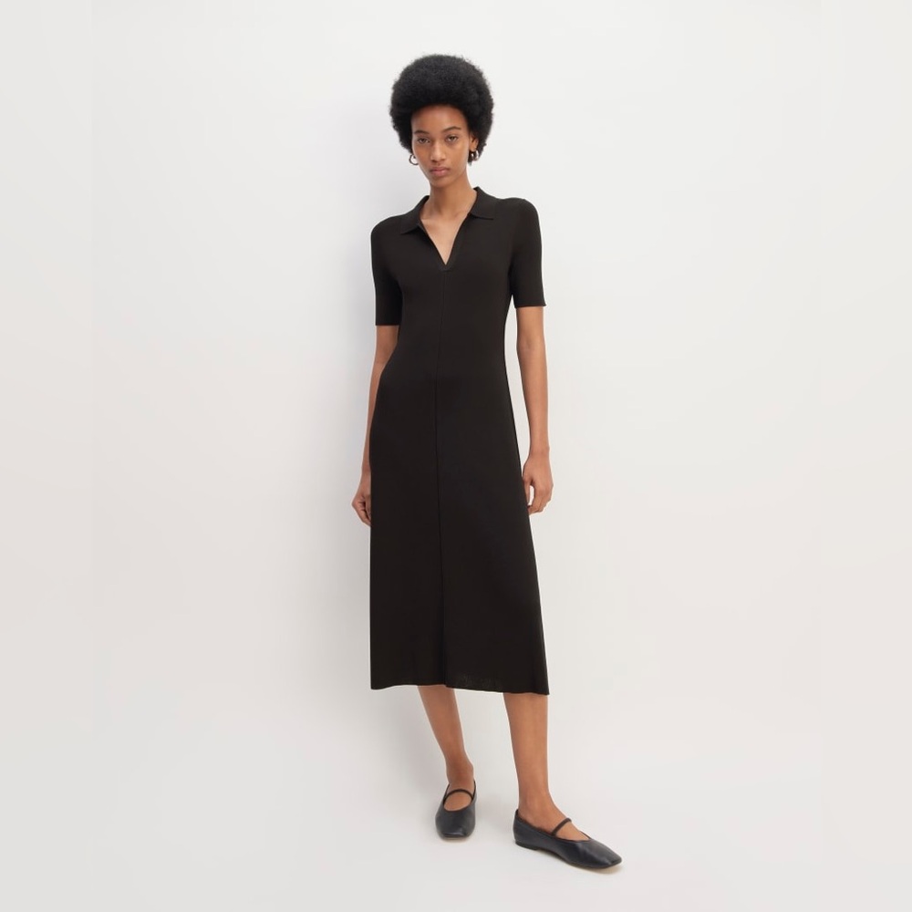 Everlane The Viscose Knit Polo Midi Dress